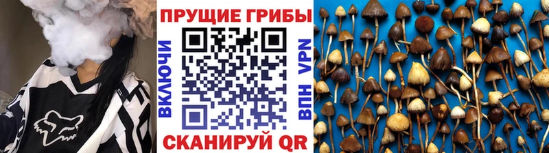 Галлюциногенные грибы прущие грибы Баксан